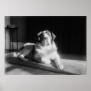Recherche de st bernard art Dog