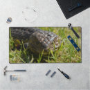 Recherche de lézard bleu tapis souris Reptile