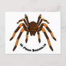 Zoek naar spiders briefkaarten Tarantula