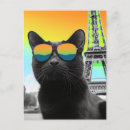 Recherche de chat paris cartes postales Unique