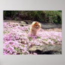 Recherche de chien rose art Girl