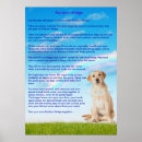 Recherche de perte de chien posters Chats
