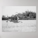 Zoek naar springende posters Natuurfotografie