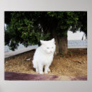 Recherche de caca posters Animal