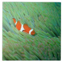 Recherche de clown carreaux Sous marin