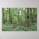 Recherche de ivrogne posters Forêt