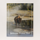 Recherche de yellowstone puzzles Bison américain