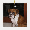 Recherche de noël de boxeur Animal familier