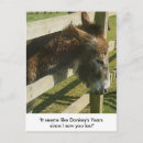 Zoek naar grappige ezels briefkaarten Dieren