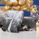 Recherche de hiboux papier cadeau Oiseau