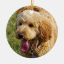 Recherche de griffonnage ornements Chien