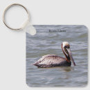 Recherche de pélicans porteclés Nature