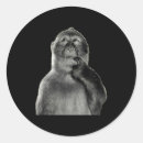 Recherche de singes drôles autocollants Rétro