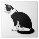 Recherche de chat noir et blanc carreaux Félin