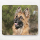 Recherche de deutscher tapis souris Recherche