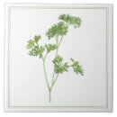 Zoek naar groene keuken tegels Botanisch