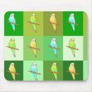 Recherche de perruches tapis souris Nature