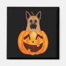 Recherche de chien de berger allemand magnets Mignon