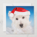 Zoek naar kerstkaart westie kaarten Kersttenten