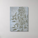 Recherche de gris de art Botanique