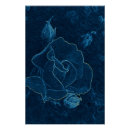Zoek naar fluweel posters Blauw