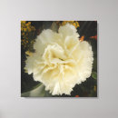 Recherche de oeillet art Blanc
