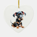Recherche de terrier de manchester Chiot