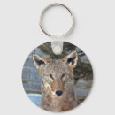 Recherche de coyote porteclés Faune