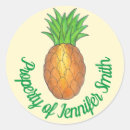 Recherche de fruits tropicaux autocollants Ananas