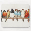 Recherche de oiseau vintage tapis souris Peinture