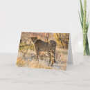 Recherche de taches vœux cartes Taches de guépard