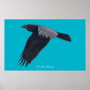 Recherche de corvids posters Faune