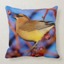 Recherche de cèdre coussins Oiseau