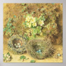 Zoek naar vogelnest posters Vogels
