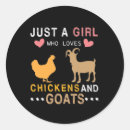 Recherche de poule de coq autocollants Poussins