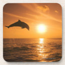 Recherche de dauphins dessous de verres Animaux