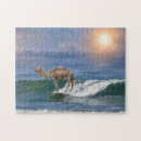 Recherche de chameaux puzzles Plage