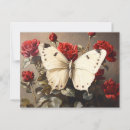 Recherche de papillon blanc cartes postales Botanique