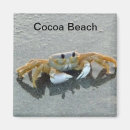 Recherche de crabes magnets Plage