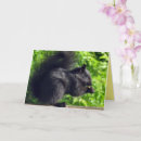 Recherche de écureuil mignon vœux cartes Pour eux