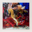 Recherche de seahorse puzzles Animal