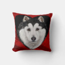 Zoek naar male kussens Alaskan malamute