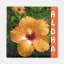 Recherche de fleurs de ketmie magnets Tropical