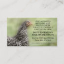Recherche de agriculteur de poulet cartes visite Oeufs
