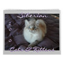 Recherche de de chat calendriers Chatons