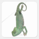 Recherche de reptile autocollants Vert