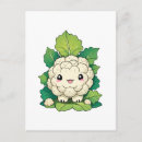 Recherche de chou fleur cartes postales Légumes
