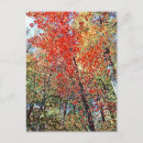 Recherche de pointillisme cartes postales Rouge