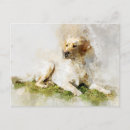 Zoek naar labrador retriever briefkaarten Waterverf