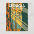 Recherche de séquoias géants cartes postales Parc national de séquoia